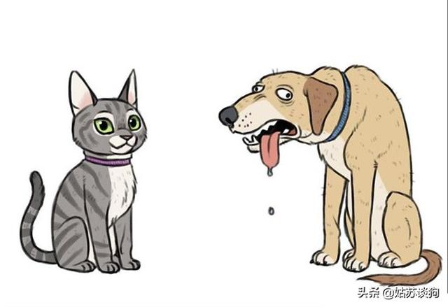 猫狗大战小游戏:为什么猫和狗打架，狗总是打不过猫呢？