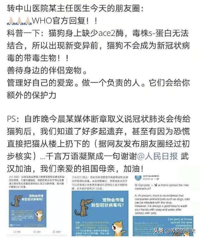 泰州宠物疾病发生调查报告:现在小区好多宠物猫狗，它们感染了怎么弄，又不测体温？