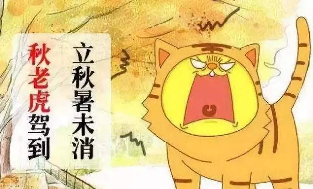 孟立秋:六月立秋赶死牛，七月立秋慢悠悠，今年的立秋是什么概况？