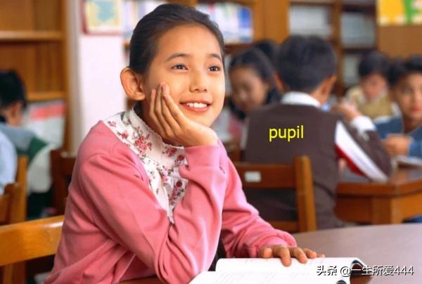 pupil的音标,pupil的英语怎么拼读？