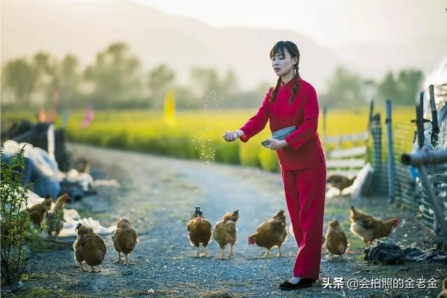 我对相机一点也不懂,想买尼康相机,帮忙推荐一下？