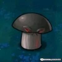 电脑上有哪些好玩的联机单机游戏？