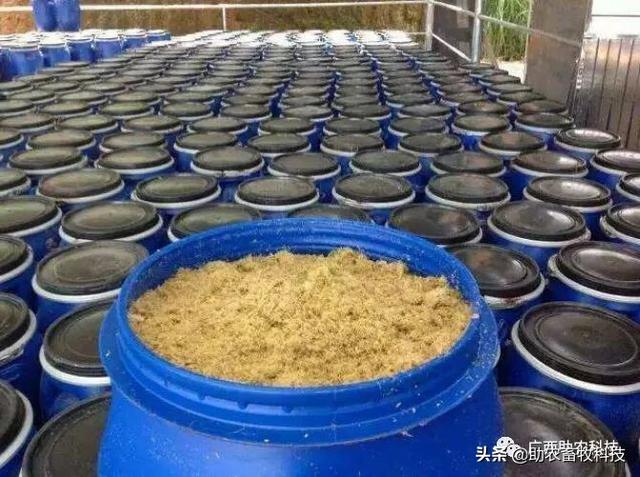 生物饲料配方技术:养殖场如何使用微生物发酵饲料配成高品质饲料配方？