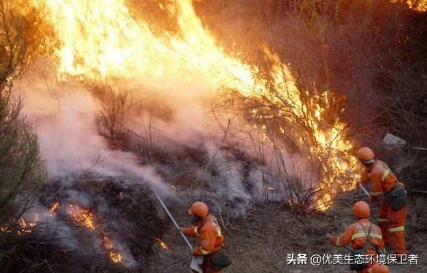 自燃,唐河县马振抚镇姚湖村傅岗自然村的“自燃”事件,为何原因？