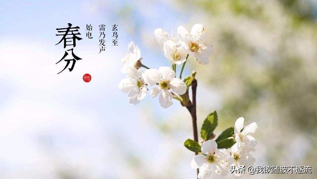 春分是哪一天:春分到了，春分有什么说法？