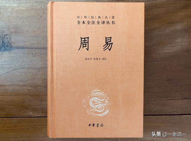 “君子豹变,其文蔚也”是什么意思？怎么理解？
