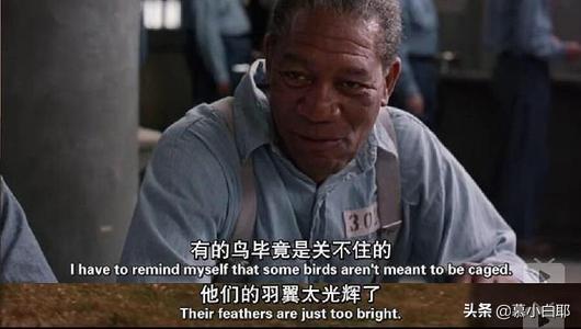 有什么特别好看的电影和书推荐吗？