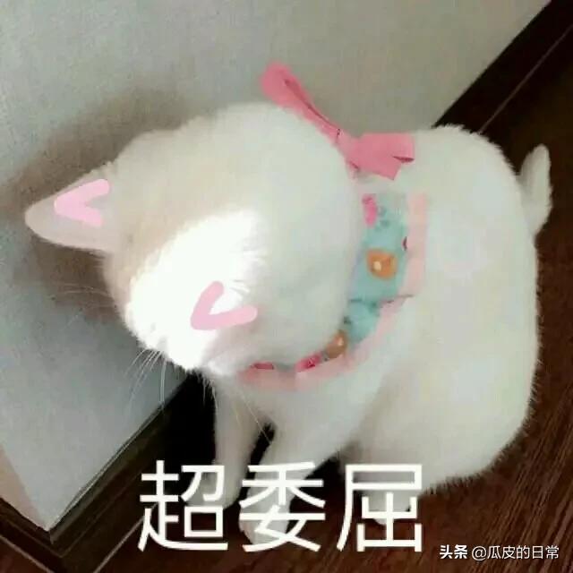 适合朋友圈文案短句:有没有适合发朋友圈的可爱文案？