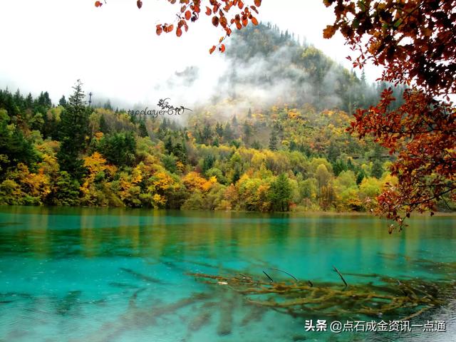 外省去九寨沟旅游如何报成都当地的旅游团？