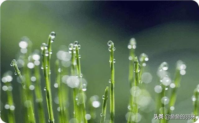 清明节是以农历说的吗?每年是几月几日？