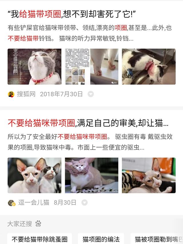 宠物项圈:猫咪为什么不愿意戴项圈？