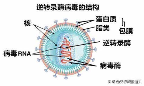 中医预防肺炎病毒有效-预防新冠肺炎病毒手抄报内容