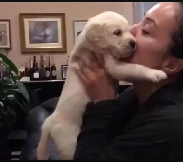 我做女犬的开心日子全下载:我们养狗，你们认为狗狗是开心的吗？