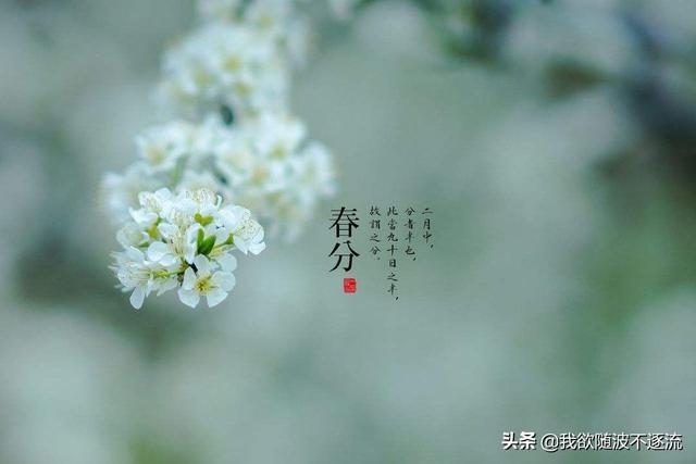 春分是哪一天:春分到了，春分有什么说法？