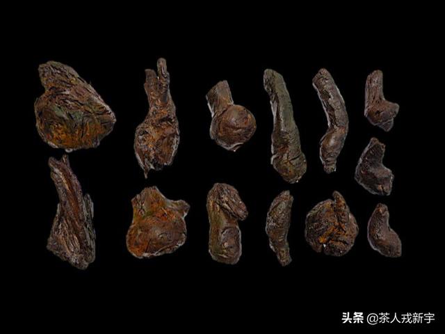 萤火虫祖先被发现:为什么农村夜晚萤火虫越来越少了