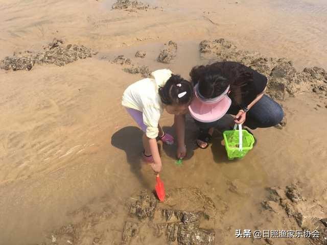 8月份去哪里旅游好(8月份最适合旅游的好去处推荐)