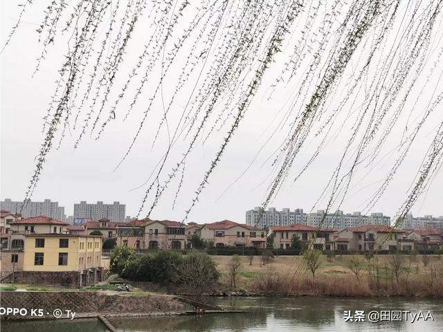 阿牛的歌:请根据阿牛的《桃花朵朵开》的歌词，拍摄出一套摄影组图？