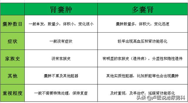 双肾囊肿是怎么引起的，多囊肾和多发性肾囊肿是一回事吗