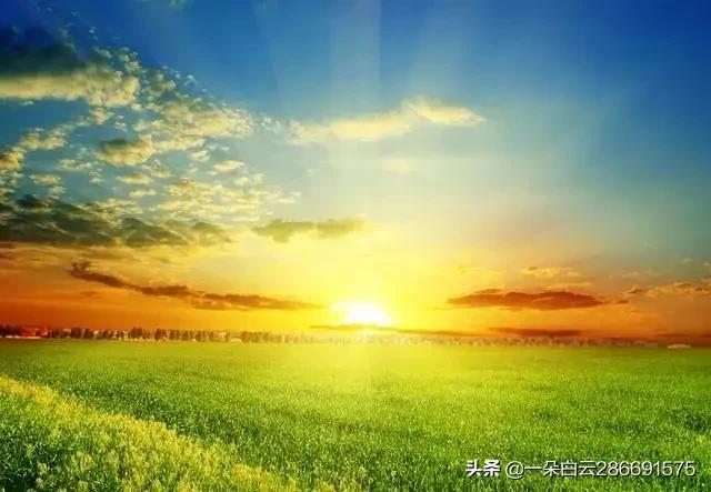 如果末日到来,人类能靠哪种作物活到最后？