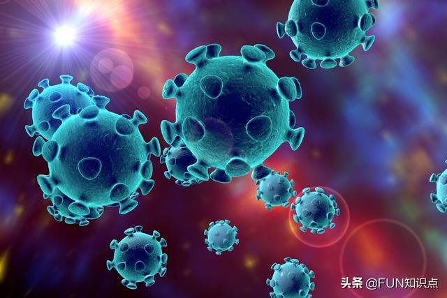 西藏首次发现亚洲胡狼:准备骑行青藏线，遇到狼群怎么办？