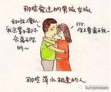 生下11兄妹的多伯曼犬夫妇:大10岁的姐弟恋有真爱吗？