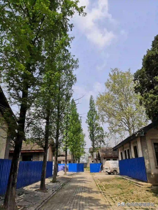 你还记得小学时背诵的课文吗,哪个最深刻？