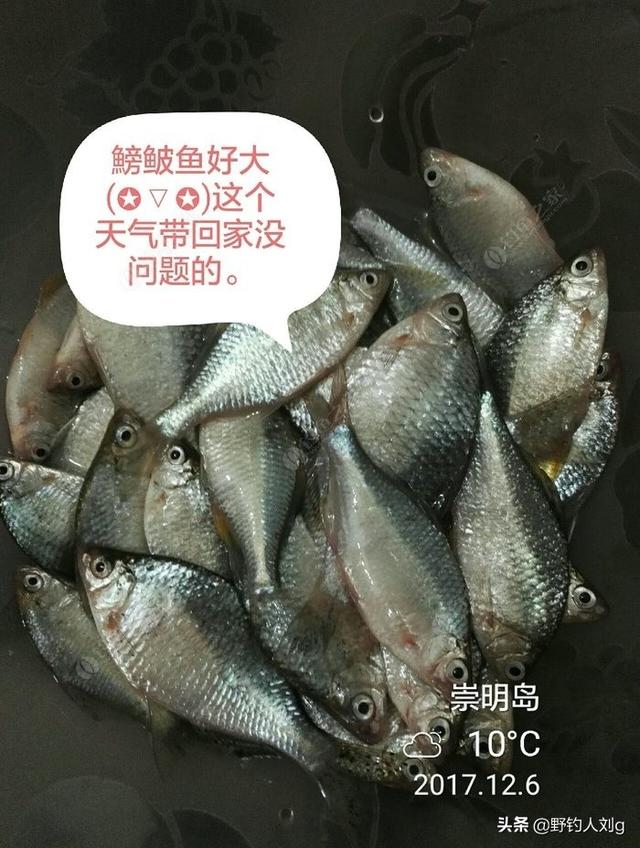 你喜欢吃鱼吗？