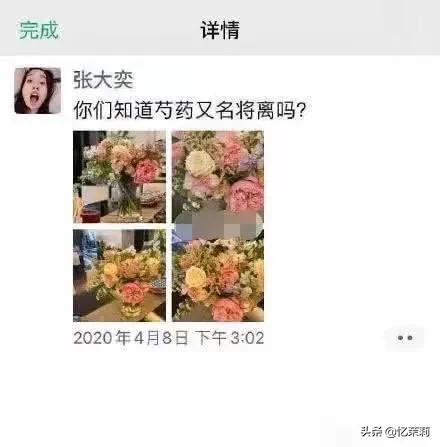 张大奕简介:看一个男人有没有实力就看他身边的女人姿色和层次，这话对么