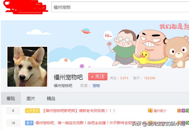 淘宝人狗情未了动物医院:能解释一下淘宝无偿领养狗狗猫咪是否真是10块吗？