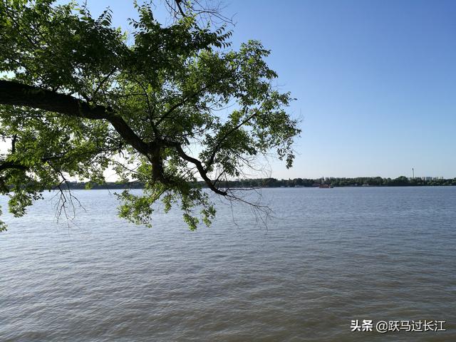 到哈尔滨旅游，去哪里玩好？