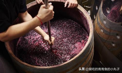 葡萄酒用什么葡萄最好，酿造葡萄酒时葡萄需要去皮吗