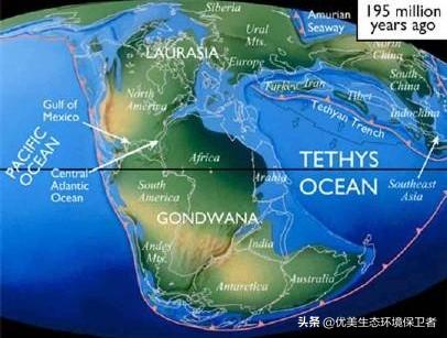 灭绝的沃那比蛇:当年恐龙灭绝原因有没有可能是病毒感染而非传说中的陨石撞地球？