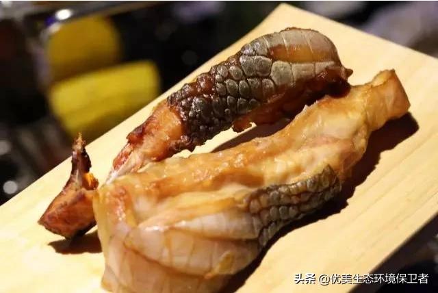 中国石龙子能不能吃:金鱼到底能不能吃？为什么？