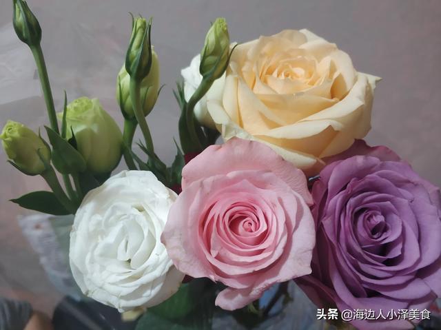 韶华 小猫一尾 共享:三忍加在一起能打得过佩恩吗？