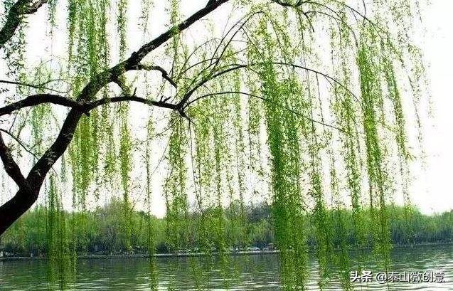 有哪些描写春天绝佳的句子？诗意一些？