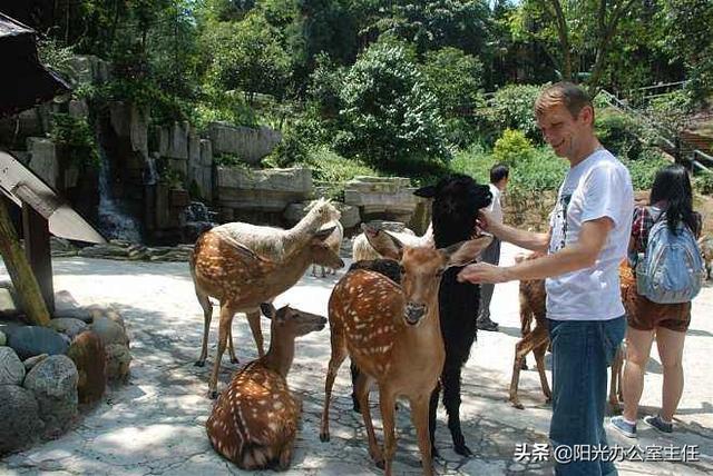 中国最宜居城市是哪里，青岛为什么能评选为“全国十大宜居城市”它的魅力在哪