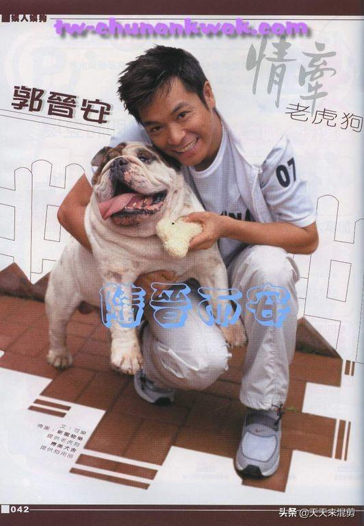 郭晋安的电视剧:郭晋安拍过哪些电视剧，你最喜欢哪部？如何评价演员郭晋安？