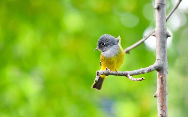 星座不合怎么办,和女朋友星座不合怎么办？