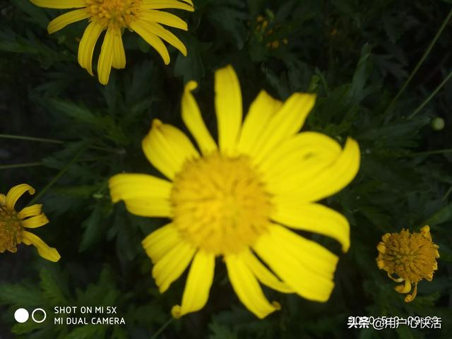 当今时代“家谱”还有意义吗？