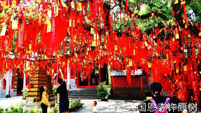 林心如爱浴:现在这个社会还有真爱吗你遇见过吗