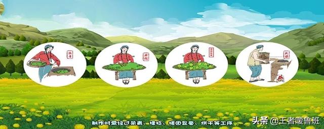 绿茶十大品种,中国绿茶品牌有哪些种类？