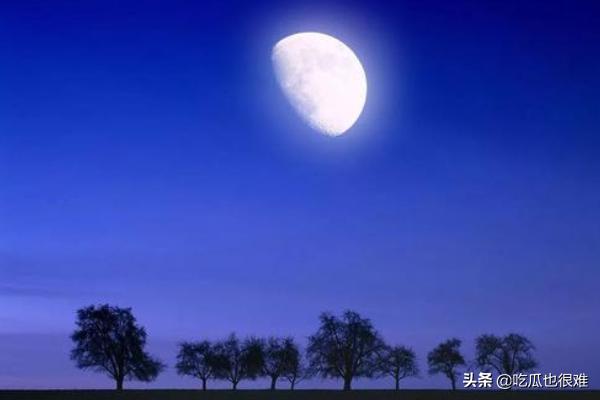 朱砂痣是什么梗,网络用语白月光是什么意思？
