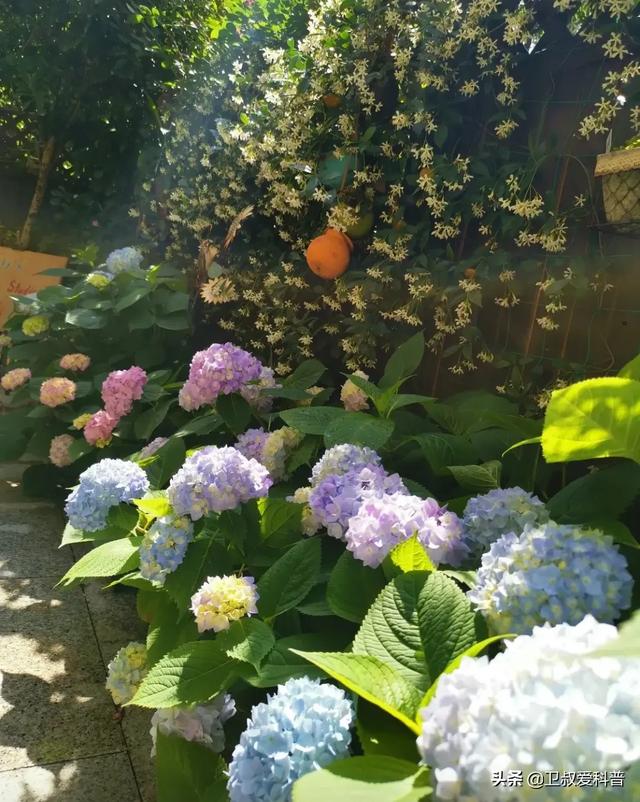 家住别墅是什么样的感觉？插图105