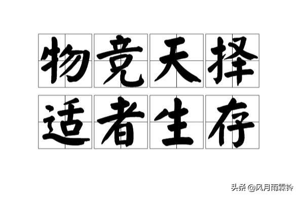 头条问答 有人说 人只有适应环境才能快乐地工作生活 但不应去讨好环境 你觉得呢 风月雨霖铃的回答 0赞