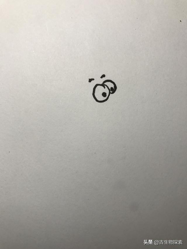 裂脚亚目恐龙排行:亚目坚尾恐龙介绍 世界上最厉害的恐龙是什么，为何？怎么画？