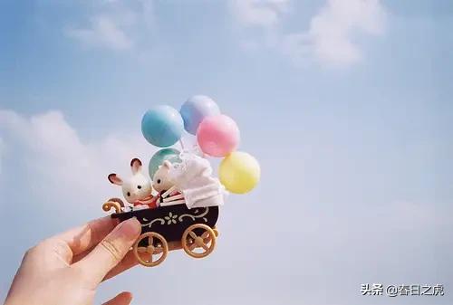 金星她老公是谁:金星和涂磊堪称毒舌名嘴，你喜欢谁主持的风格