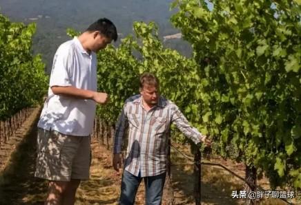 纳帕谷赤霞珠红葡萄酒，九年前，姚明花重金买下纳帕谷48英亩的葡萄园，现在赚了多少钱