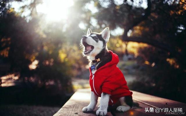 都是三十而立,一个30多岁的男人兴趣和爱好应该是什么呢？