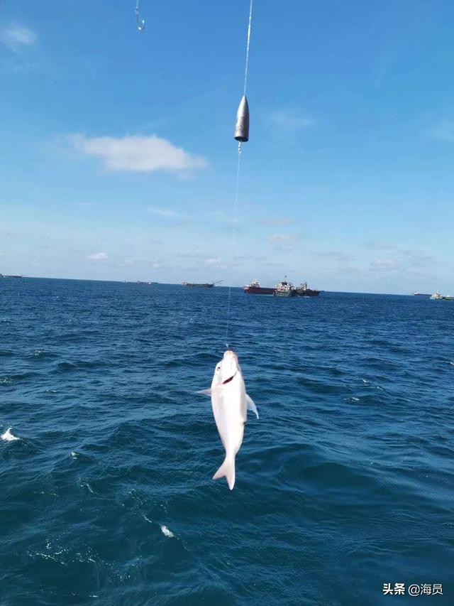 缘分星球是干嘛的,海员是干什么的？工资怎么样？