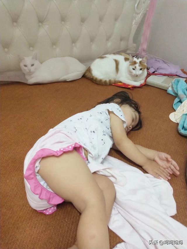 如何与宠物安全相处:宠物与宝宝该怎么去相处？ 如何与宠物相处安全教案